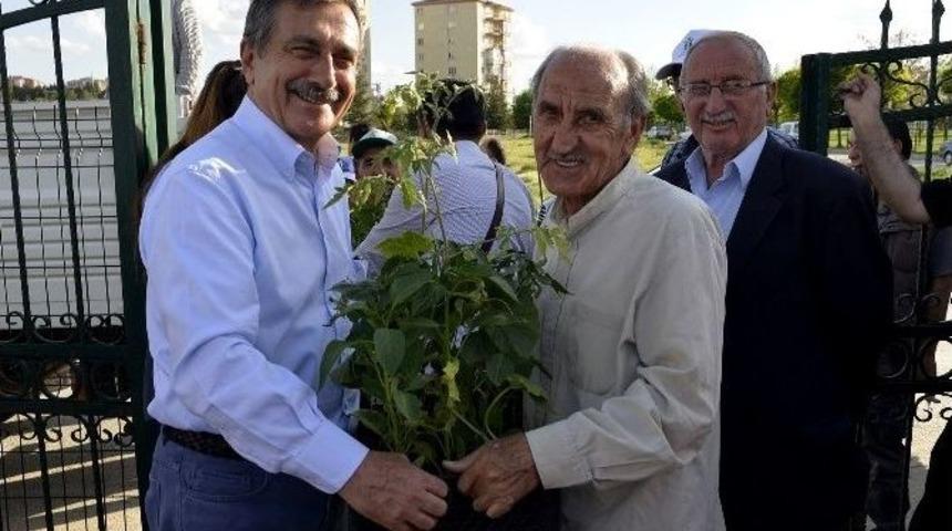 Tepebaşı&rsquo;nda Engelli Vatandaşlara Fide Dağıtımı