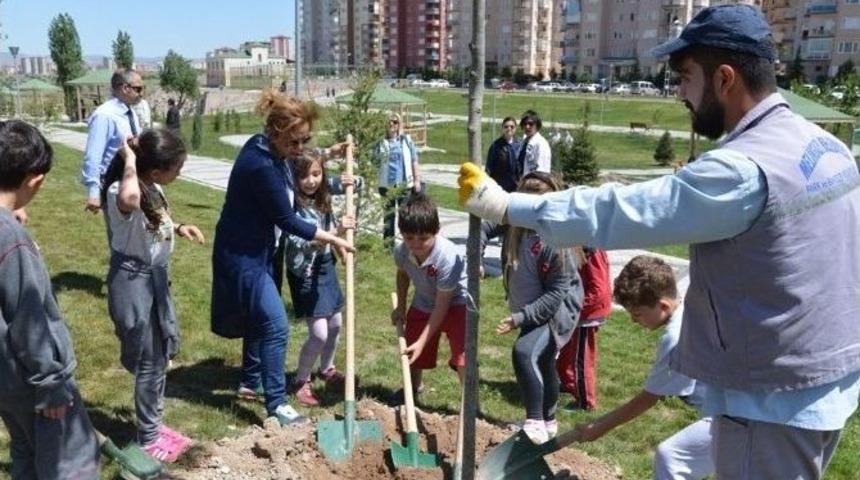 Prof. Dr. Necmettin Erbakan Parkına 300 Adet &Ccedil;am Fidanı Dikildi