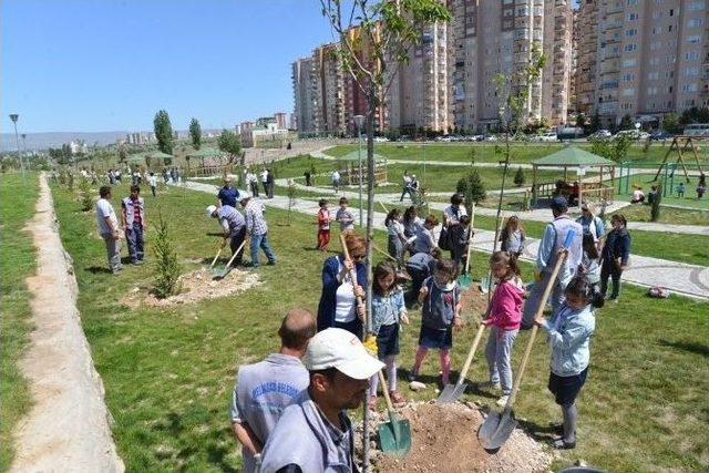 Prof. Dr. Necmettin Erbakan Parkına 300 Adet Çam Fidanı Dikildi