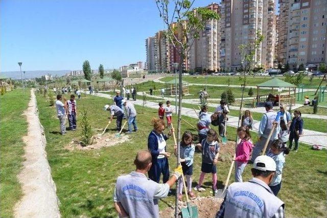 Prof. Dr. Necmettin Erbakan Parkına 300 Adet Çam Fidanı Dikildi