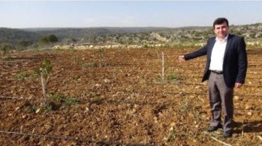 Akdoğan: "tarımsal Sulamada Enerji Masrafımız Ortadan Kalktı"