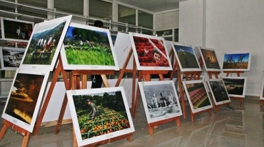 Sungurlu&rsquo;da &rsquo;tarım Ve İnsan Konulu&rsquo; Fotoğraf Sergisi
