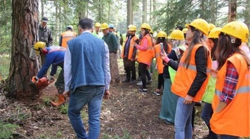 Kat&uuml; Teknik Gezi Ekibi, Kastamonu&rsquo;yu Gezdi