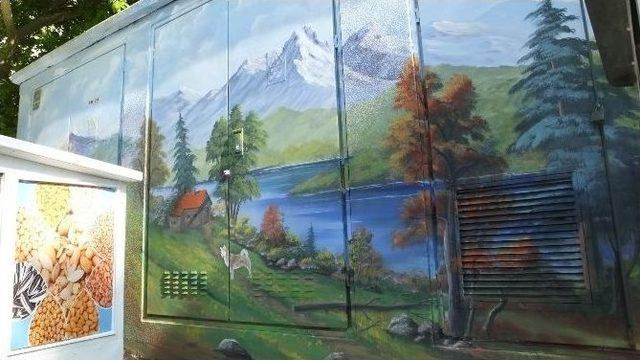 Amatör Ressam Trafoları Çiçek Gibi Yaptı