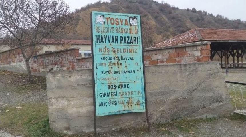 Tosya Hayvan Pazarı, Karantina Altına Alındı