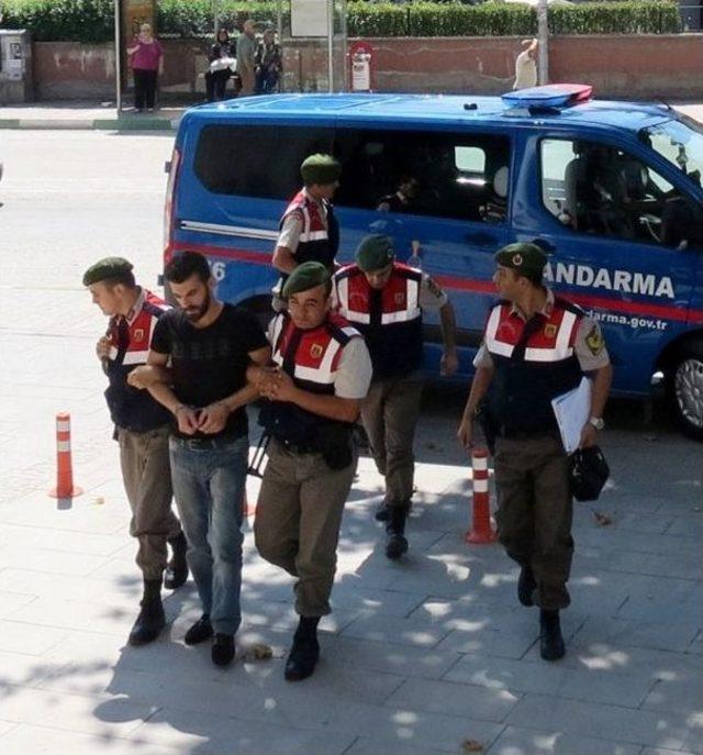 Orman Yangınını Seyreden Çifti Ezen Sürücünün 22 Yıl Hapsi İsteniyor 3