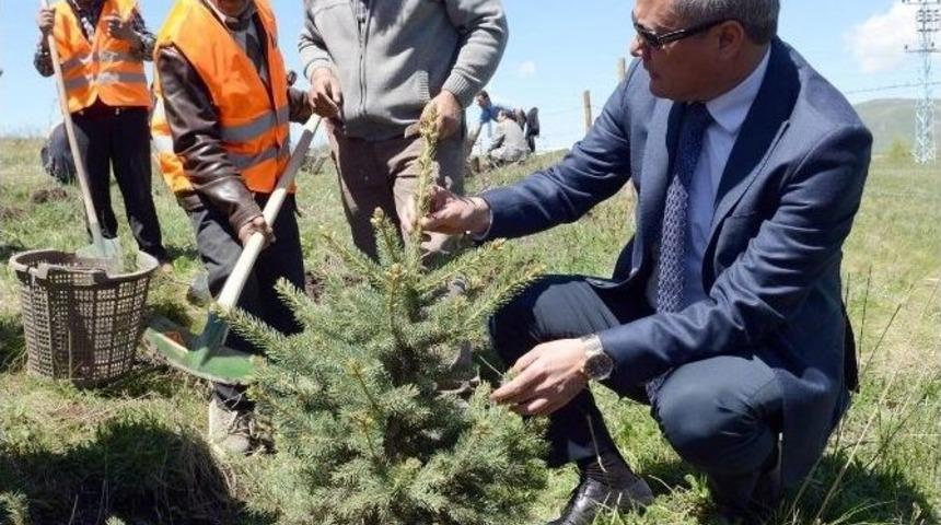 Yılın İlk Fidanları Toprakla Buluşturuldu