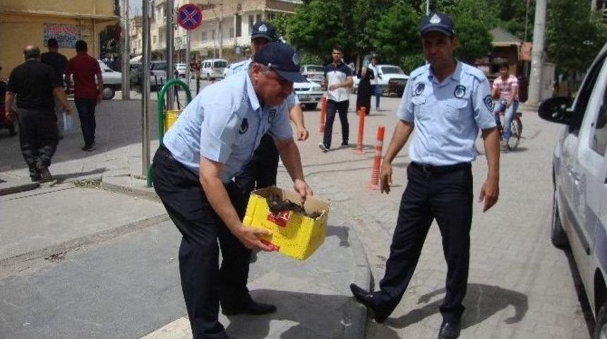 Ceylanpınar Zabıta Ekibinden &Ouml;rnek Davranış