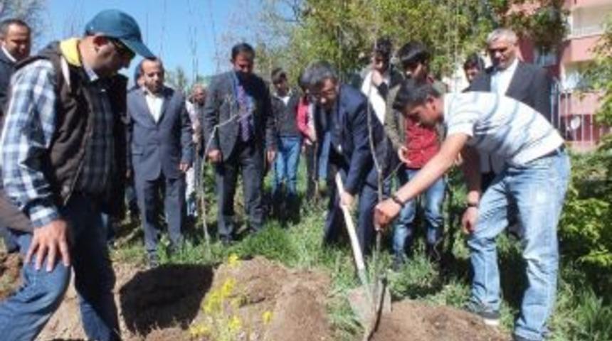 Umut &Ccedil;i&ccedil;ekleri Komisyonu Meyve Ağa&ccedil;larını Toprakla Buluşturdu