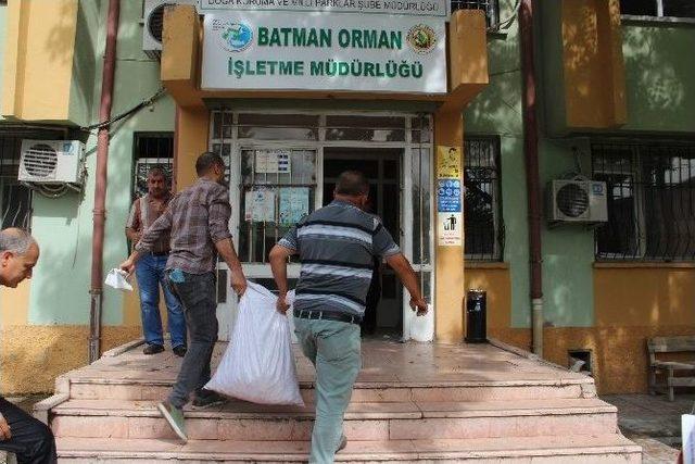 Salep Bitkisi Toplayanlara Rekor Ceza 1