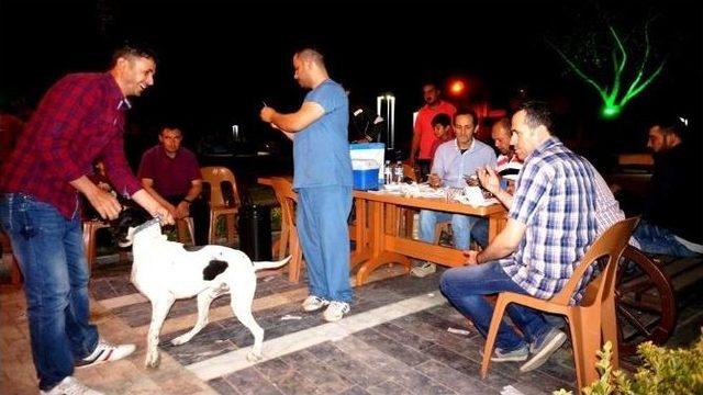 Sarıgöl’de Av Köpeklerine Kuduz Aşısı Yapıldı