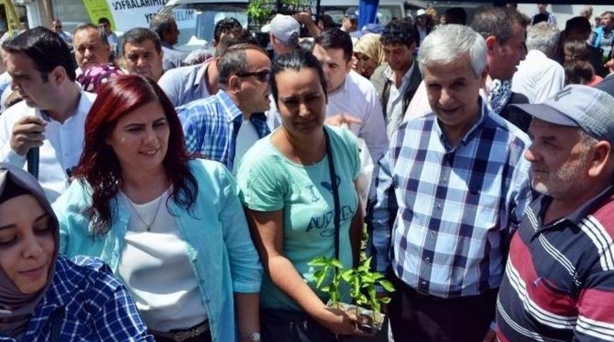 &Ccedil;er&ccedil;ioğlu, S&ouml;kk&rsquo;de Yerli Tohum Fide Dağıttı