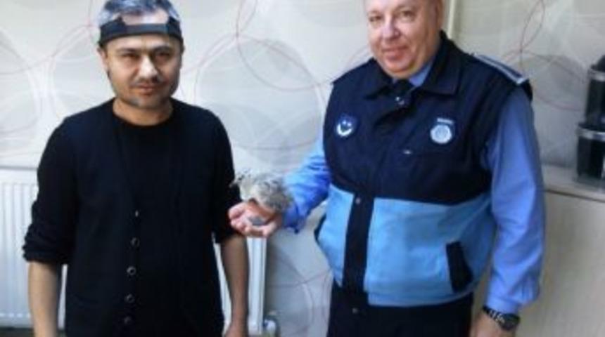 İzmit Zabıtası Sahipsiz Hayvanlar Konusunda &Ccedil;ok Hassas