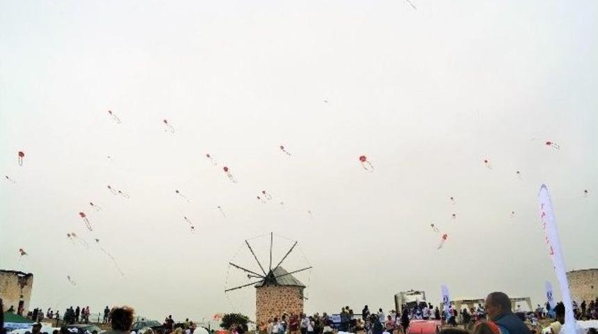 B&uuml;y&uuml;kşehir U&ccedil;urtma İle Farkındalık Festivali&rsquo;nde