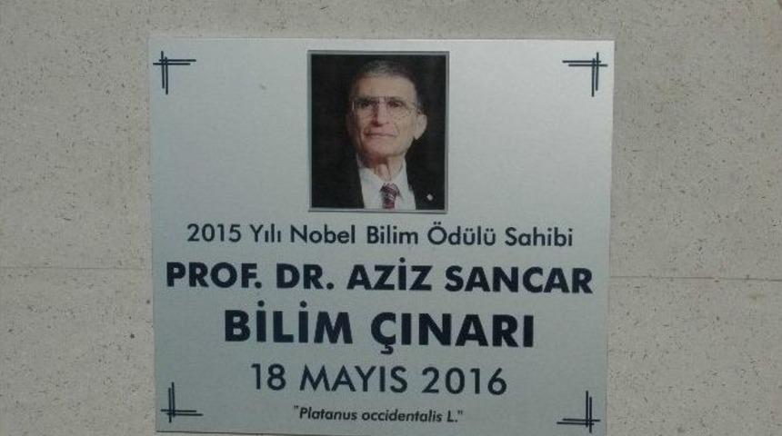 Prof. Dr Sancar&rsquo;a &rsquo;&uuml;st&uuml;n Bilim İnsanı &Ouml;d&uuml;l&uuml;&rsquo;