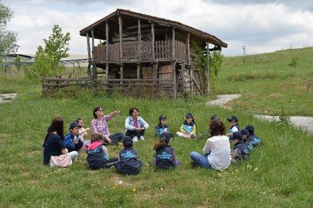 İnsanlık Tarihine Uygulamalı Yolculuk