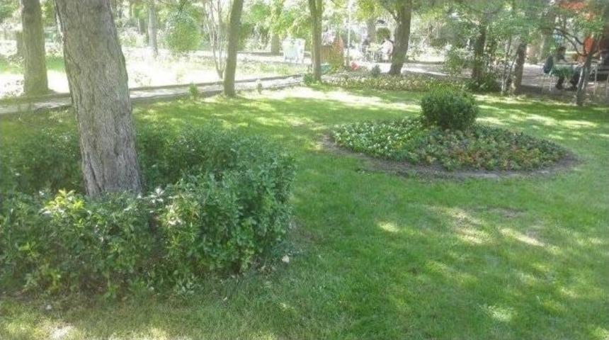 Sungurlu &Ccedil;i&ccedil;eklerle Donatılıyor