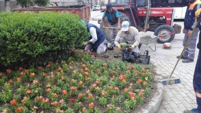 Sungurlu Çiçeklerle Donatılıyor