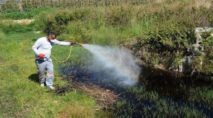 B&uuml;y&uuml;kşehir&rsquo;in, Aydıncık&rsquo;ta Sineğe Karşı İla&ccedil;lama &Ccedil;alışmaları S&uuml;r&uuml;yor