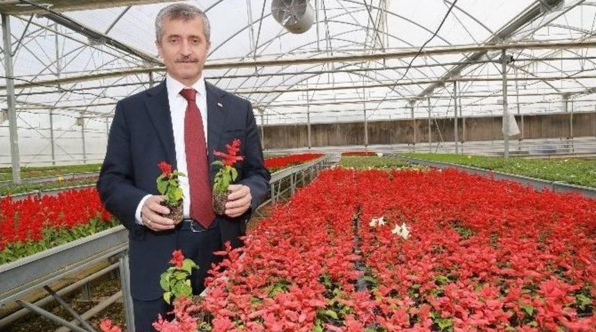 Şahinbey Doğaya Dokundu