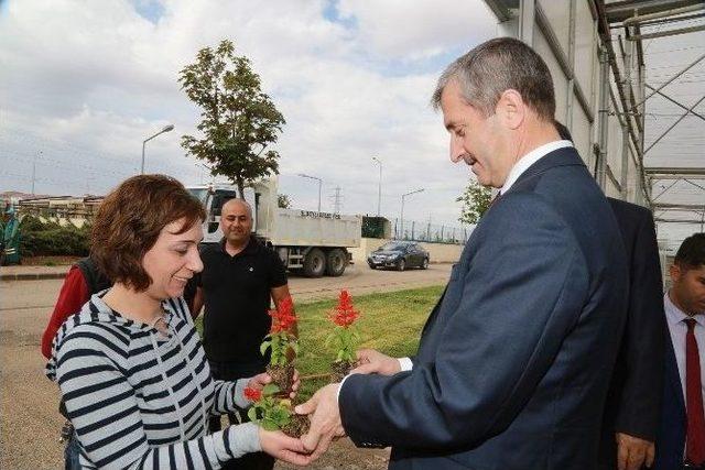 Şahinbey Belediyesi Tam Otomasyonlu Seralarda Çiçek Yetiştiriyor 1