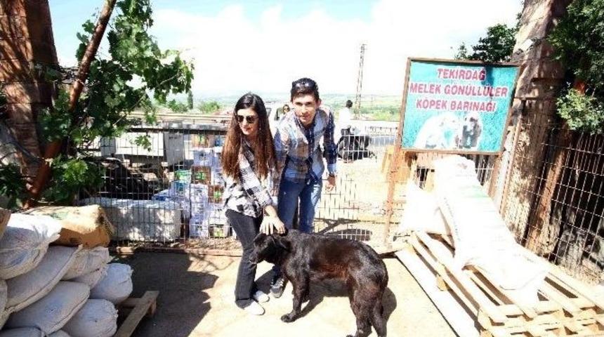 Tredaş&rsquo;tan &ldquo;enerjimiz K&uuml;&ccedil;&uuml;k Dostlarımız İ&ccedil;in&rdquo; Kampanyası