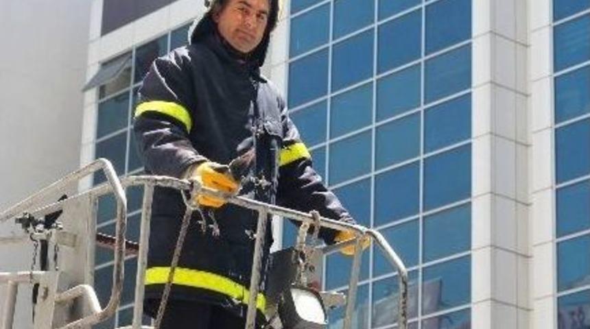 Yavrusu Yuvadan D&uuml;şen Karga İnsanlara Saldırdı