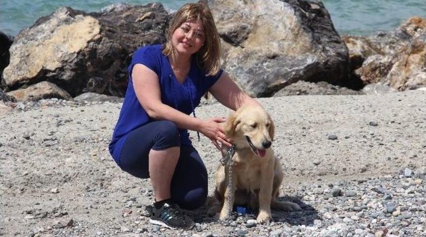 38 Yıl Sonra T&uuml;rkiye&rsquo;ye D&ouml;nd&uuml; Hayatının Şokunu Yaşadı