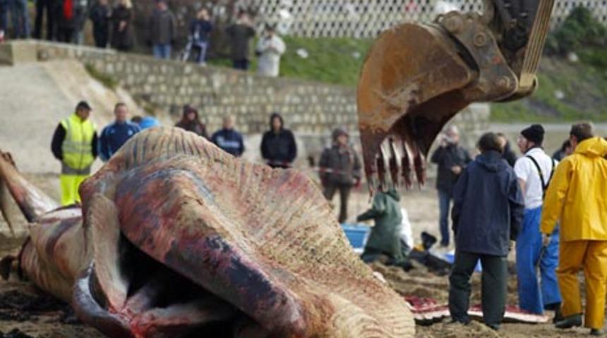 Bunu g&ouml;renler g&ouml;zlerine inanamadı