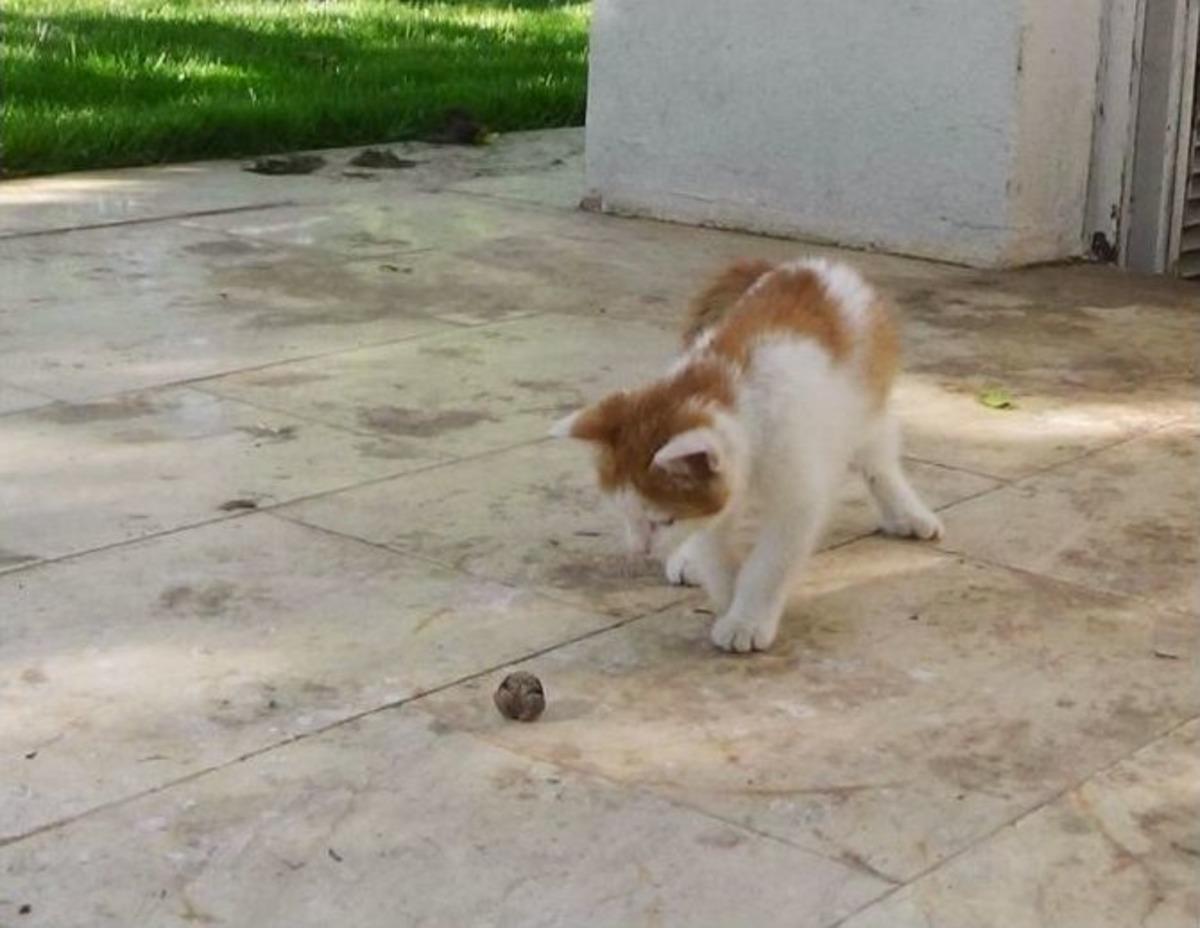 3 Canı Gitti 6&rsquo;sı Kaldı