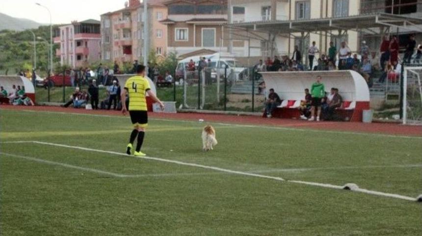 Sahaya Giren Davetsiz Misafiri Futbolcular Dışarı &Ccedil;ıkardı