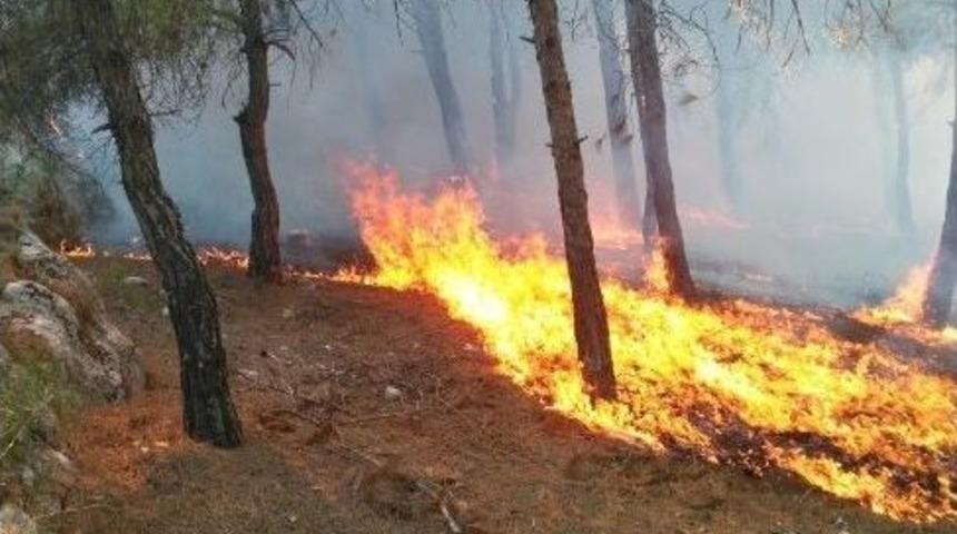 Gaziantep&rsquo;in Kalbi Alev Alev Yandı