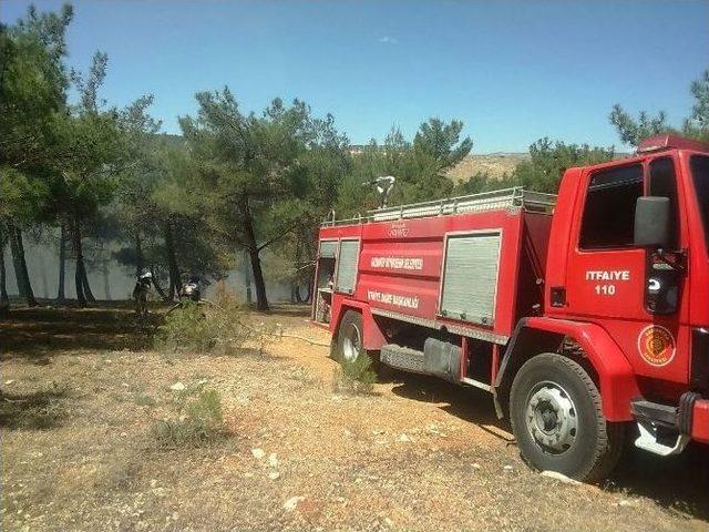 Gaziantep&rsquo;in Kalbi Alev Alev Yandı 1
