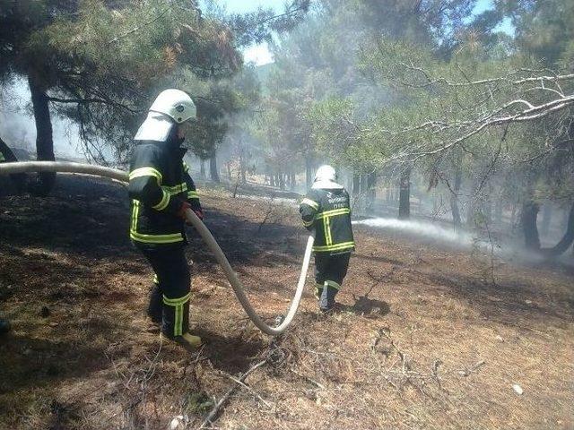 Gaziantep&rsquo;in Kalbi Alev Alev Yandı 2