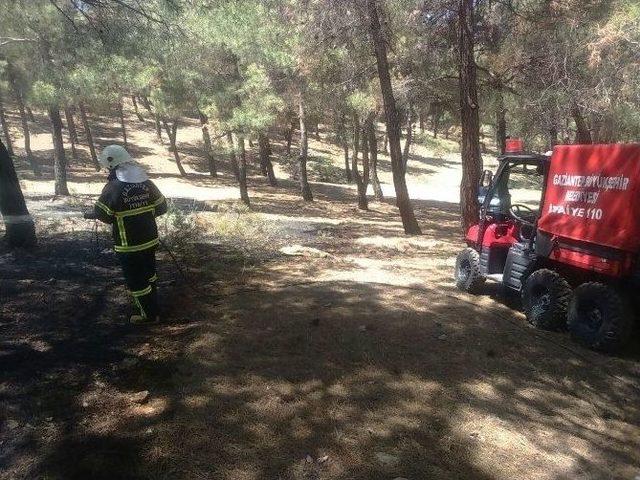 Gaziantep&rsquo;in Kalbi Alev Alev Yandı 3