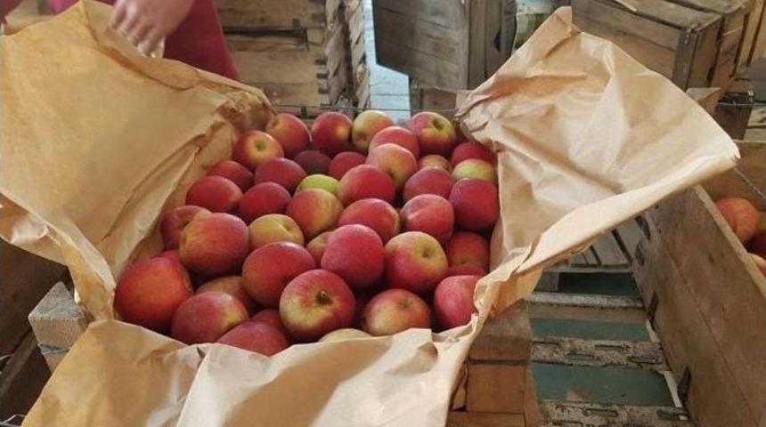 Amasyalılardan Şırnak&rsquo;taki G&uuml;venlik G&uuml;&ccedil;lerine 2 Ton Elma