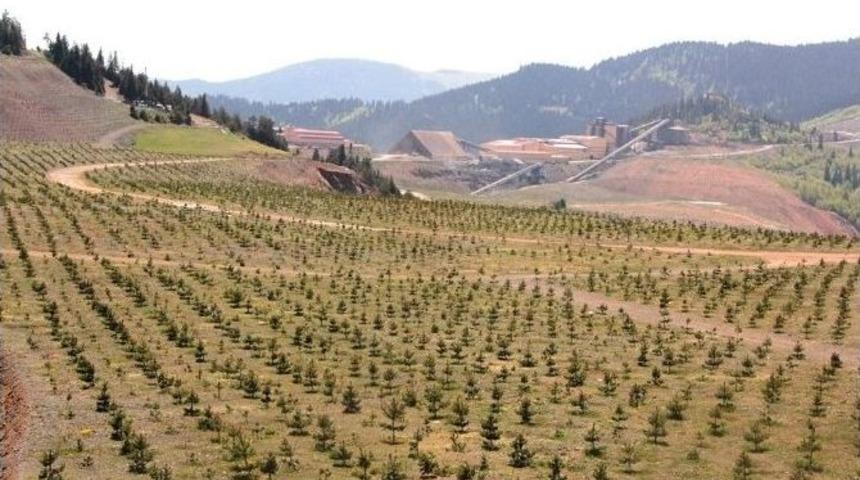 Kastamonu&rsquo;da 1800 Dekar Alan Rehabilite Edildi