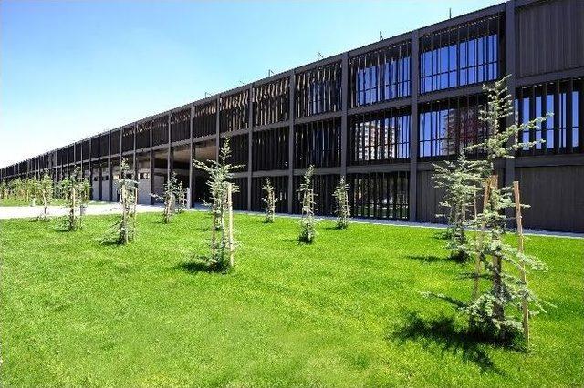 Ag&uuml; S&uuml;mer Kamp&uuml;s&uuml;&rsquo;ne Bir &Ouml;d&uuml;l Daha 3