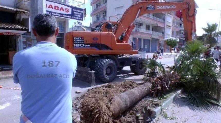 Patlayan Doğalgaz Borusu Korkuya Neden Oldu