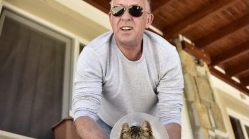 İrlandalı İş Adamı Hayvan Katliamına İsyan Etti