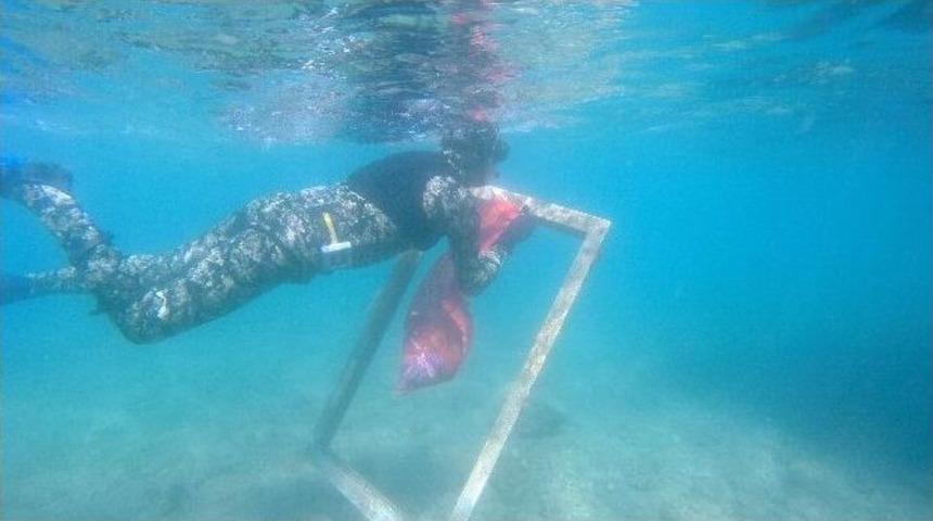 G&ouml;lk&ouml;y Sahili Temizlendi