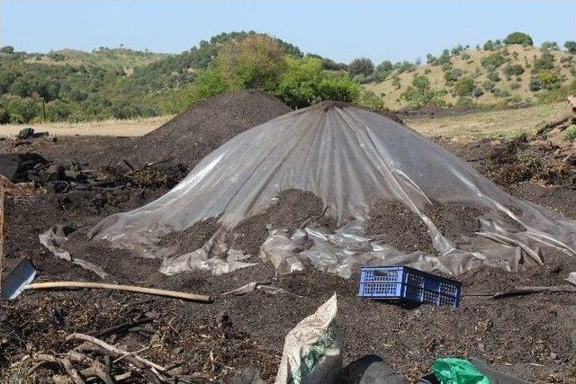 Yaz Yaklaştı Mangal Kömürü Yapımı Hızlandı