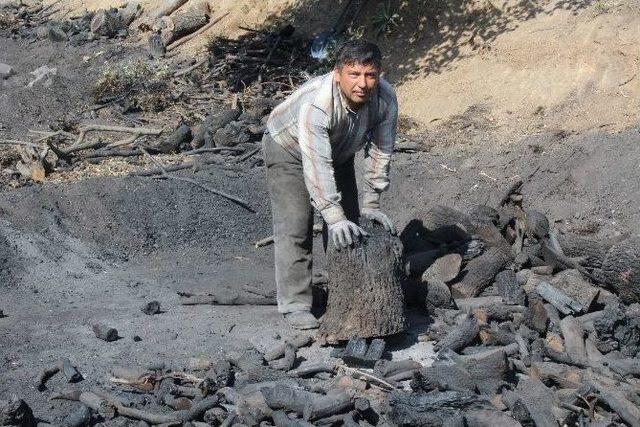 Yaz Yaklaştı Mangal Kömürü Yapımı Hızlandı