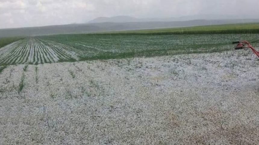 Dolu Yağışı Ankara&rsquo;da Tarımı Vurdu