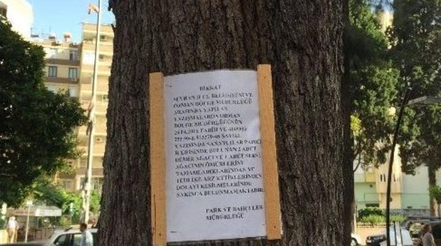 Sanat&ccedil;ılar Parkı&rsquo;ndaki Ağa&ccedil;ların Kesilmemesi İ&ccedil;in İmza Kampanyası
