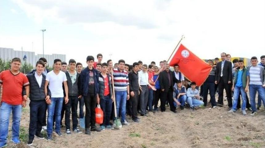 Aso &Ouml;ğrencileri Aso1. Osb&rsquo;de Fidan Dikti