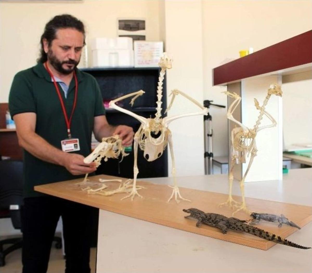 &Ouml;ğrencileri Daha İyi &Ouml;ğrensin Diye Leşleri Ayıklıyorlar