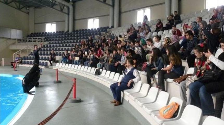 G&uuml;ng&ouml;renli &Ccedil;ocuklar Yunus G&ouml;sterisi İle Moral Buldu