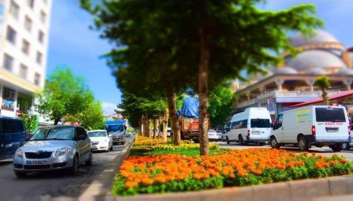 Tatvan &Ccedil;i&ccedil;ek A&ccedil;tı