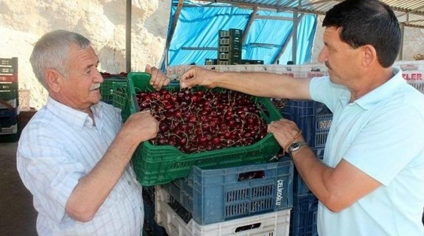 Demirci Kirazı Patent Aldı